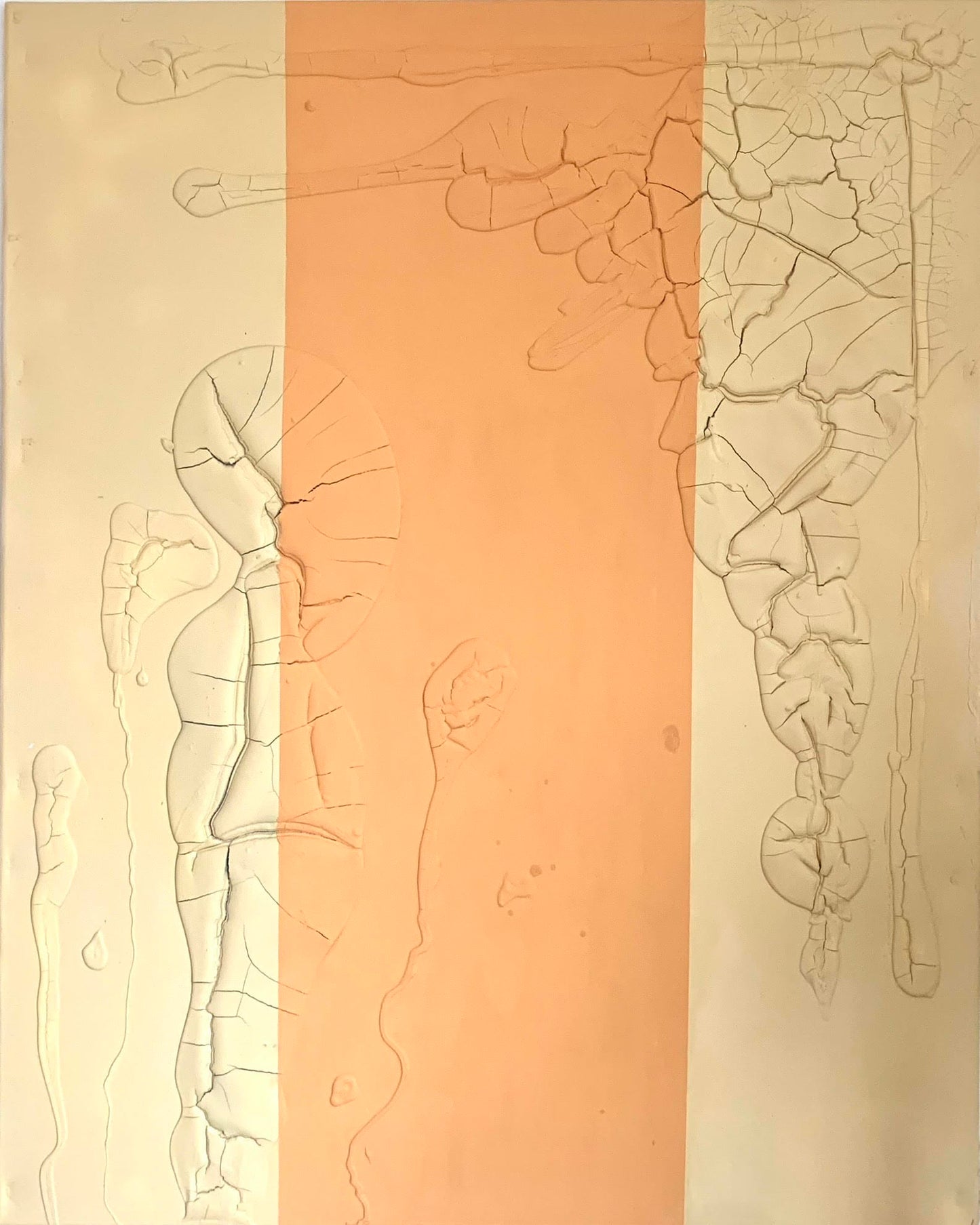 Terroso